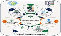 هفته ملی محیط زیست؛ اقدام برای مقابله با تغییر اقلیم